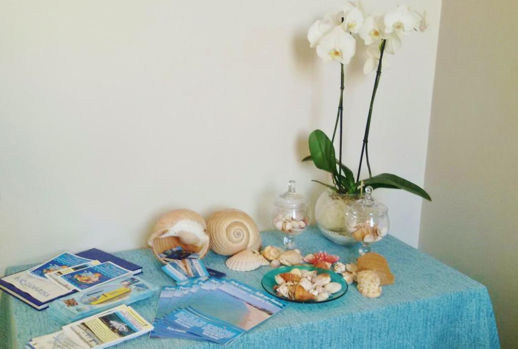 Acquamarina B&B 포르토 세자레오 외부 사진